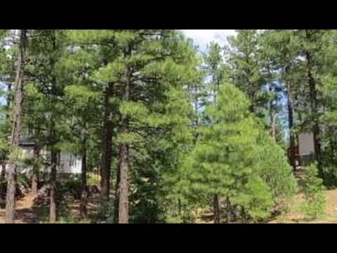 1041 S Cherokee Drive, Show Low, AZ home video tour
