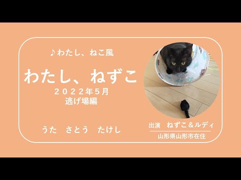 RUDY202205わたしねずこ