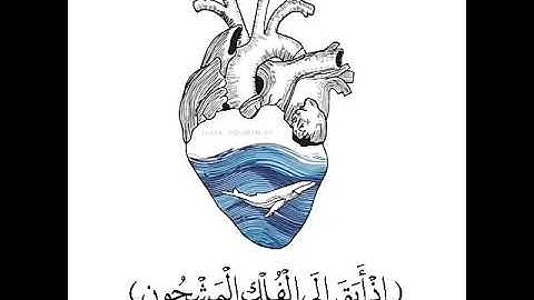 تلاوة لا توصف ما شاء ألله ❤ارح سمعك😇