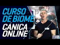 1001 EJERCICIOS | CURSO DE BIOMECANICA ONLINE | IRON MASTER | FHI ONLINE