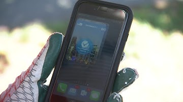 Report a Problem - 311 Direct App