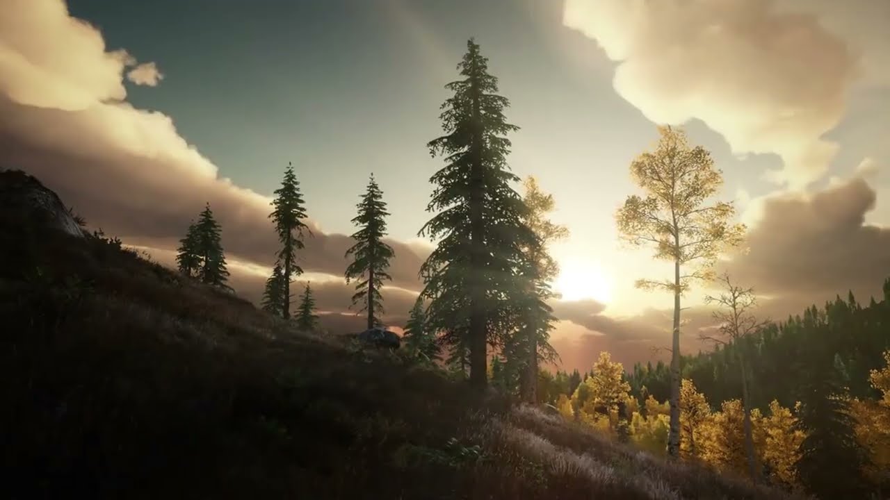 Тихое размышление – музыка для глубокой релаксации