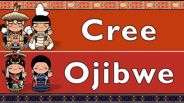 ALGONQUIAN: PLAINS CREE & NORTHWESTERN OJIBWE