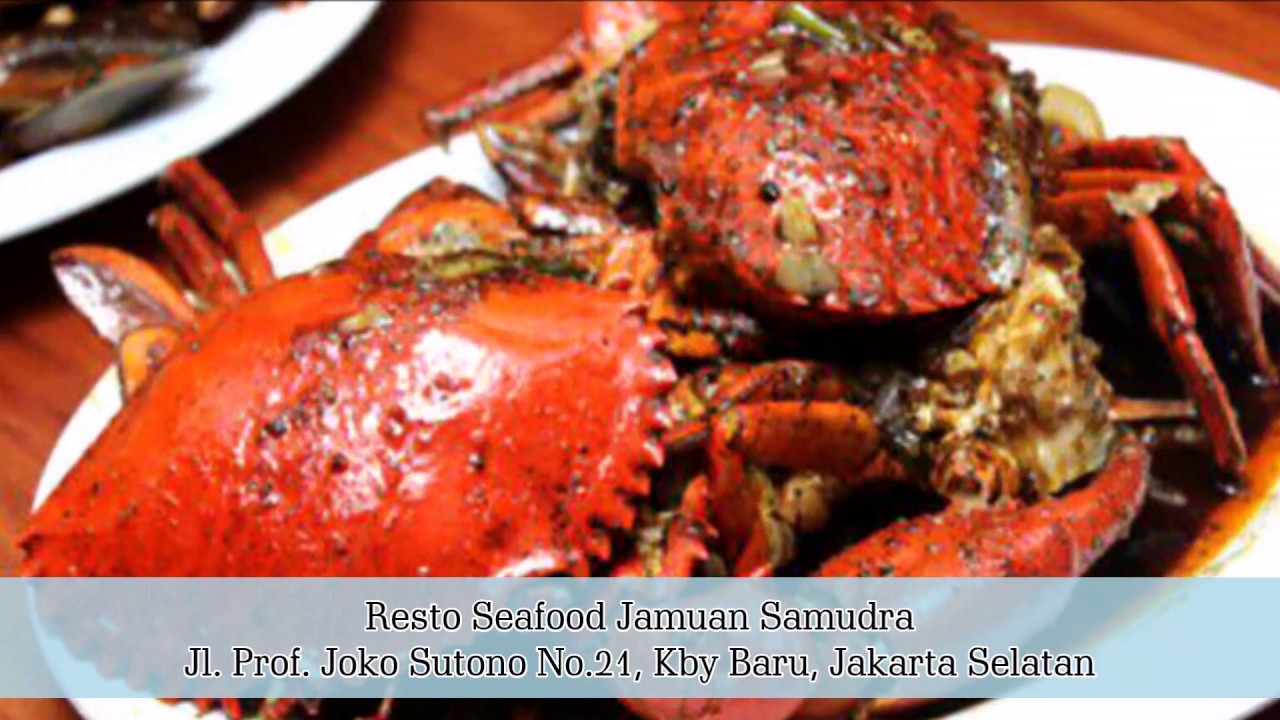 Restoran Seafood Enak di Jakarta Selatan - YouTube