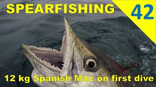 SPEARFISHING UAE | 12 kg Spanish Mackerel on first dive (Moon Island)