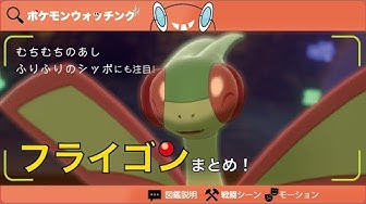 フライゴン Youtube