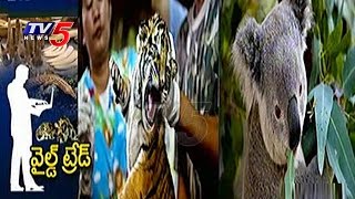 Illegal Wildlife Trade | Centre Plans to Curb Online Sale of Rare Animals | TV5 News Illegal Wildlife Trade | Centre Plans to Curb Online Sale of Rare Animals | TV5 News