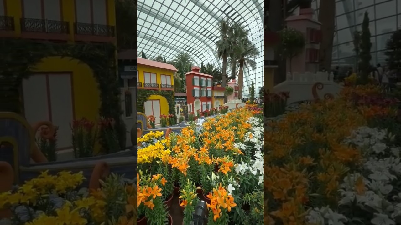 Talking Heads - Nothing But Flowers. Checking out the amazing Flower Dome exhibition in Singapore.