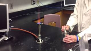 Epsom Salt Lab