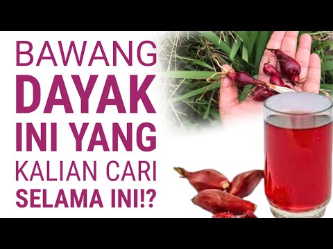 Ramuan Herbal Dayak