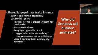 We Are Primates, and There Is No Single Primate Pattern (Intro to Anthropology, Class 4)