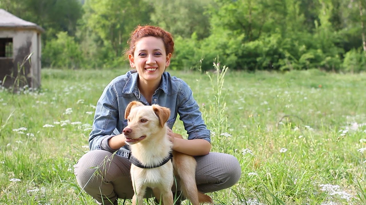 Come riconoscere le erbe spontanee #2