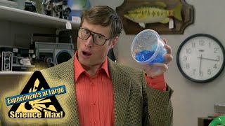 States of Matter | Sal's Science Shop | Science Max