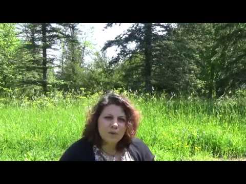 სტრესი და განტვირთვა