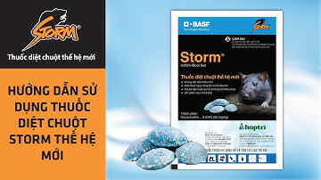 Hướng dẫn sử dụng thuốc diệt chuột Storm thế hệ mới