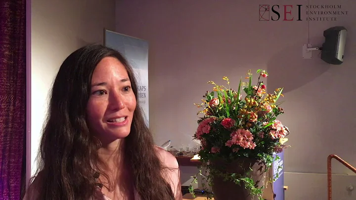 The risks with BECCS