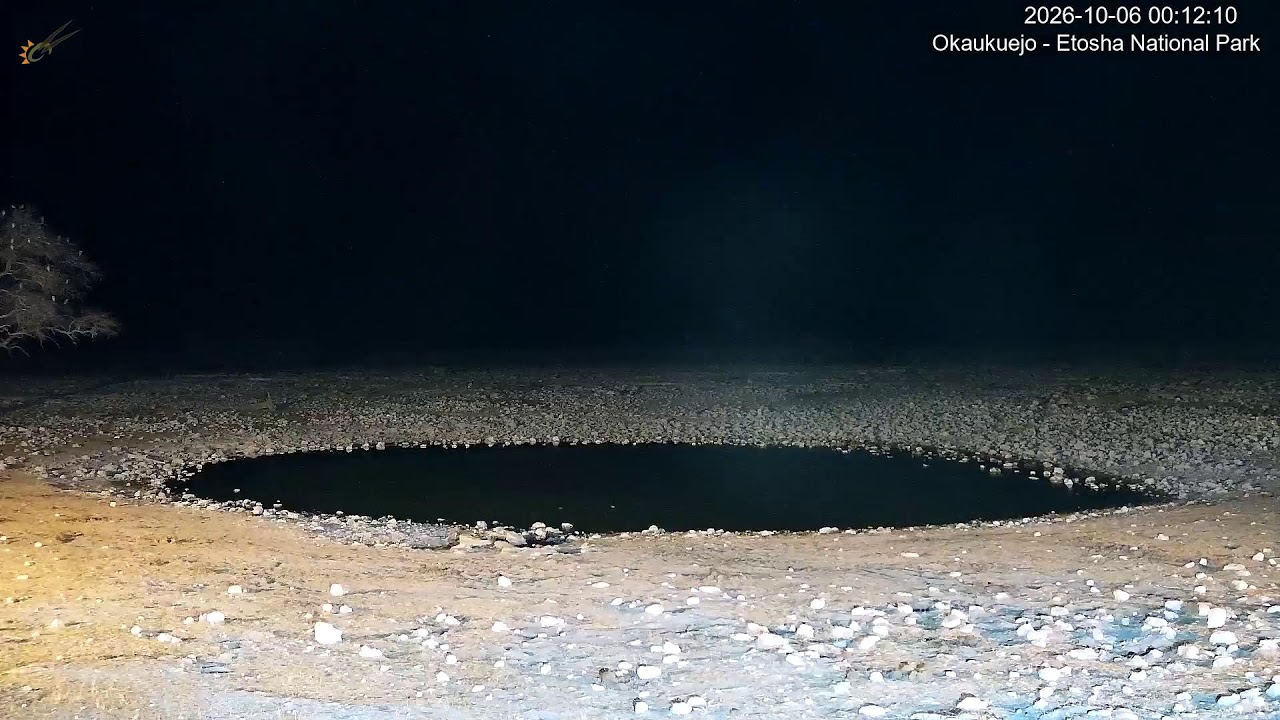 Okaukuejo Waterhole