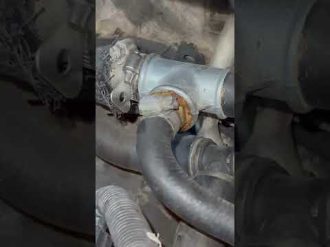 من تجيب هيمي وتسويلها ادامة يم فيتر دمج يخليلها زبانه مال مي آرو لدورة تبريد المحرك