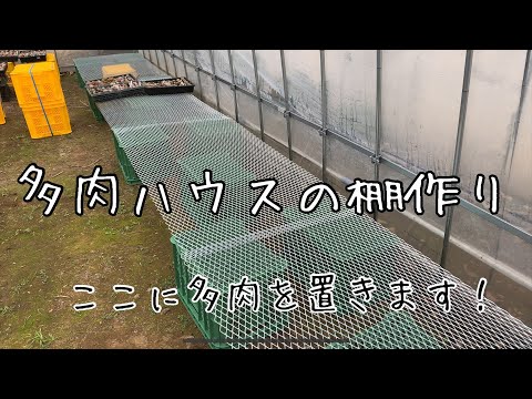 Making shelves for succulent greenhouses - YouTube