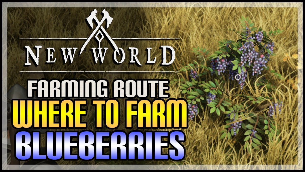 New World Blueberry Locations Farming Routes YouTube