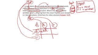 monohybrid practice question pg 7 (1)