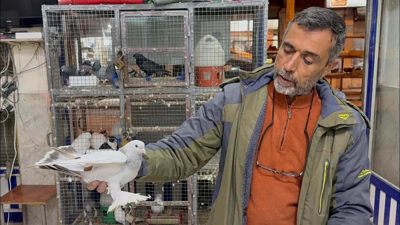 1 Mart 2026 - Dernekteki Mevcut Kuşlarımız 🕊️ Bu Akşam 21:30 da Yayındayız 🌹