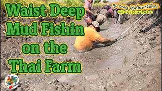 Waist Deep Mud Fishin on the Thai Farm