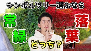 シンボルツリーどっちを選ぶ 常緑樹と落葉樹の選び方 Youtube