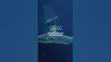 سورة النمل للقارئ محمد اللحيدان اسمع ورتل وارتق #لايك #المصحف #اكسبلور #راحة_نفسية