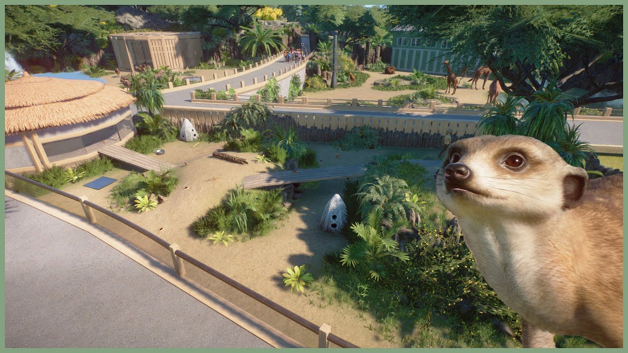🐈Simple meerkat habitat Soliuko Zoo Zoo speedbuild🍁 YouTube