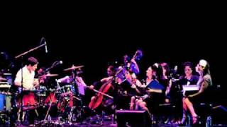 The Dodos (featuring Magik Magik Orchestra) - Fools