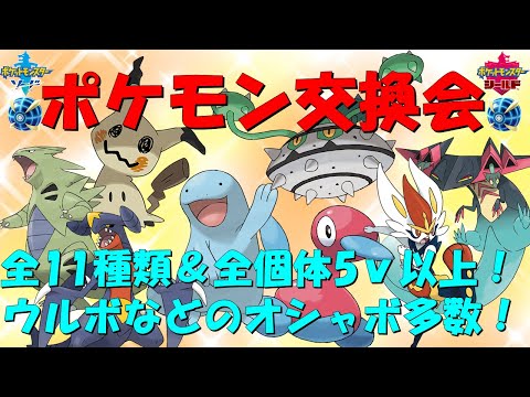 剣盾 孵化余りポケモン配布会 ウルトラボールなどのオシャボ多数 Youtube