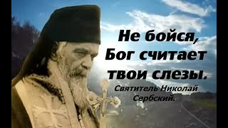 Не бойся, Бог считает твои слезы. Не трать напрасно деньги. Святитель Николай Сербский.