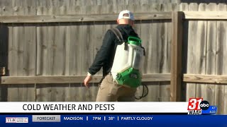 Cold weather prompting rodents to head inside your home