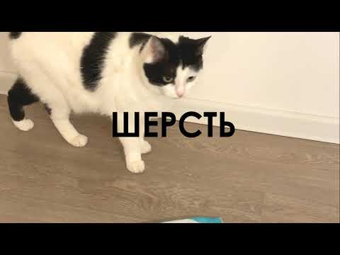 Салфетка для пола Чистюля ШЕРСТЬ И ВОЛОСЫ