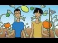 Genetic Modification From Ancient Practices To Modern Foods