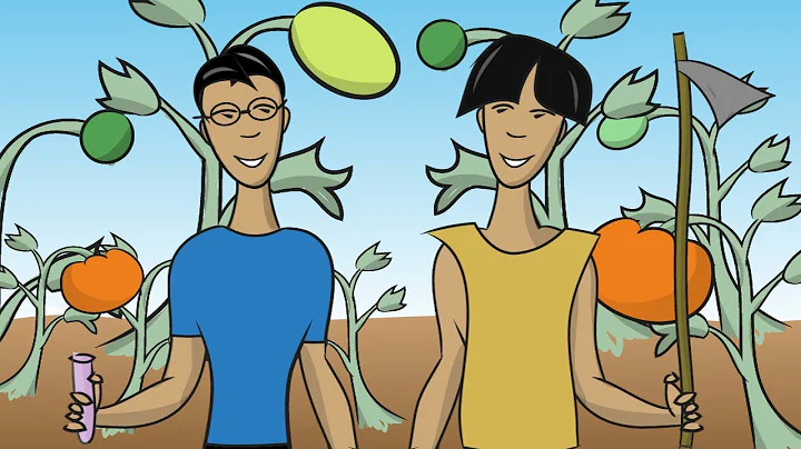 What Is a Genetically Modified Food? - Instant Egghead #45