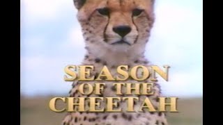National Geographic (1991) Season of the Cheetah (Documentary)