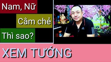 Ý nghĩa tướng cằm chẻ - Xem Tướng Cằm Chẻ Nam Nữ Tốt Hay Xấu? #355