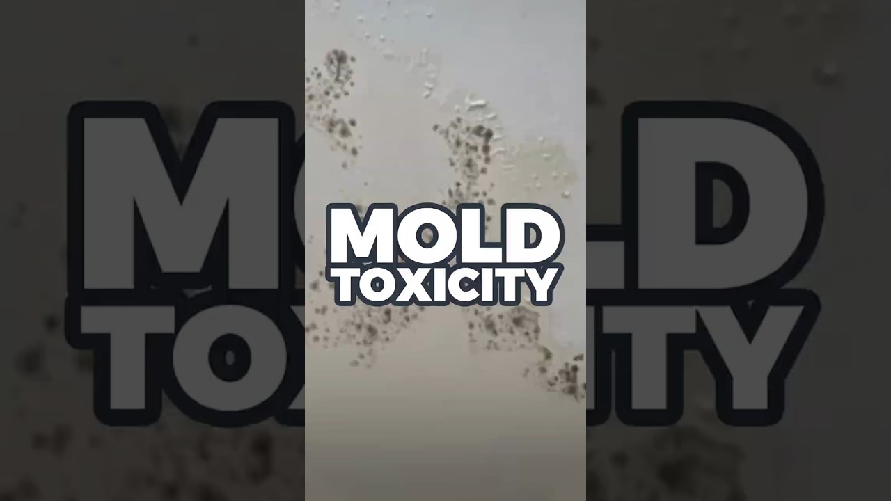 No spots. No smell. Still mold. It hides—and it wrecks your health. 