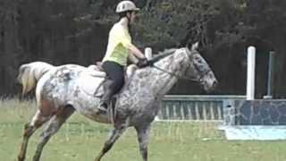 Jumping Lesson Raw