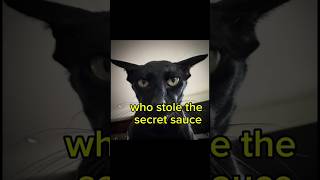 secret sauce story 😱🙀😈😨plz like the video #shorts #shortvideo