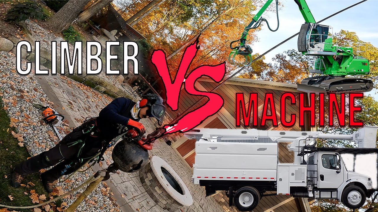 He Does Tree Work Faster Than ANY Machine! With This Tree Climbing Hack ...