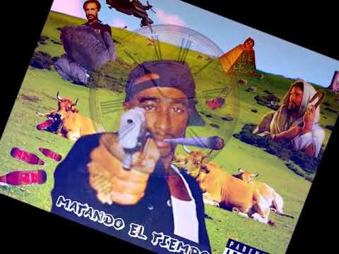 Rallydad - Calamardo y Yervman video phone lyrics
