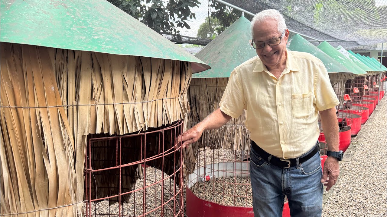 El tour de la Traba de Américo - dando los buenos días a sus aves 