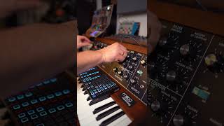 The one and only - Moog Model D 🥰