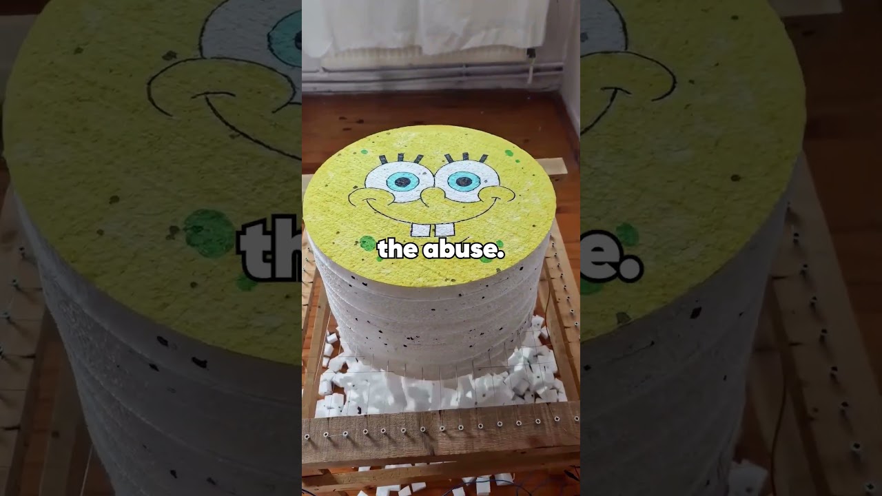 My abusive parents rewrote history after my success, so I planned revenge but chose better.