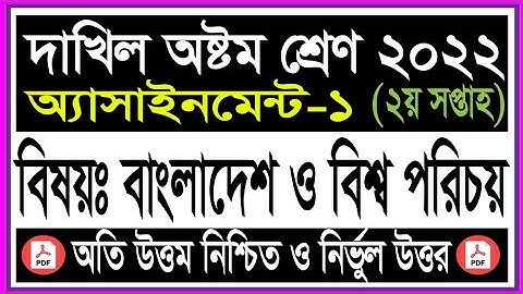 Dakhil Class 8 2nd week assignment Answer! Dakhil Class 8 2022 BGS Assignment 2nd Week!