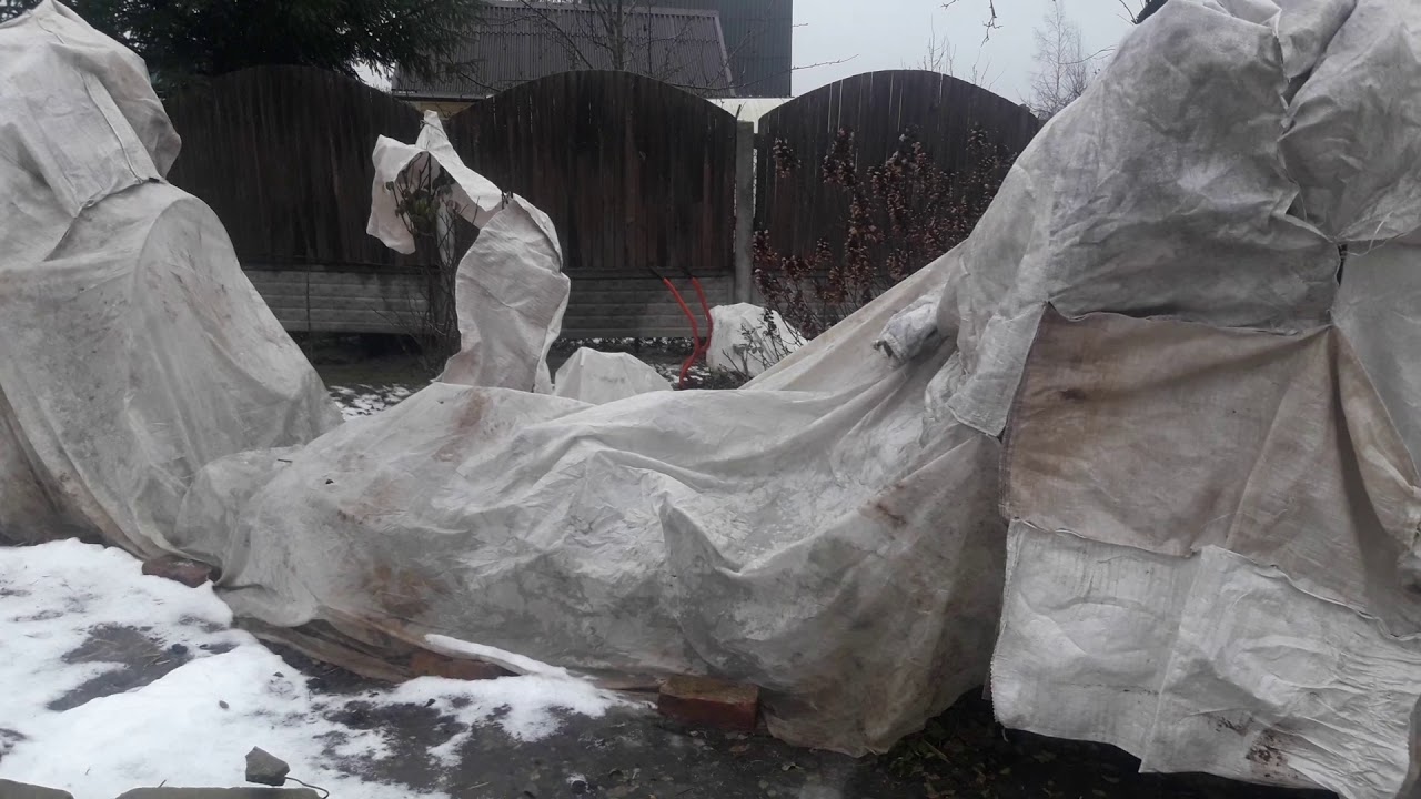 И снова потеплело.Снег растаял.Так быстро.....?? - YouTube