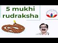 5 mukhi rudraksha i benefits i precautions i santosh sharmaa